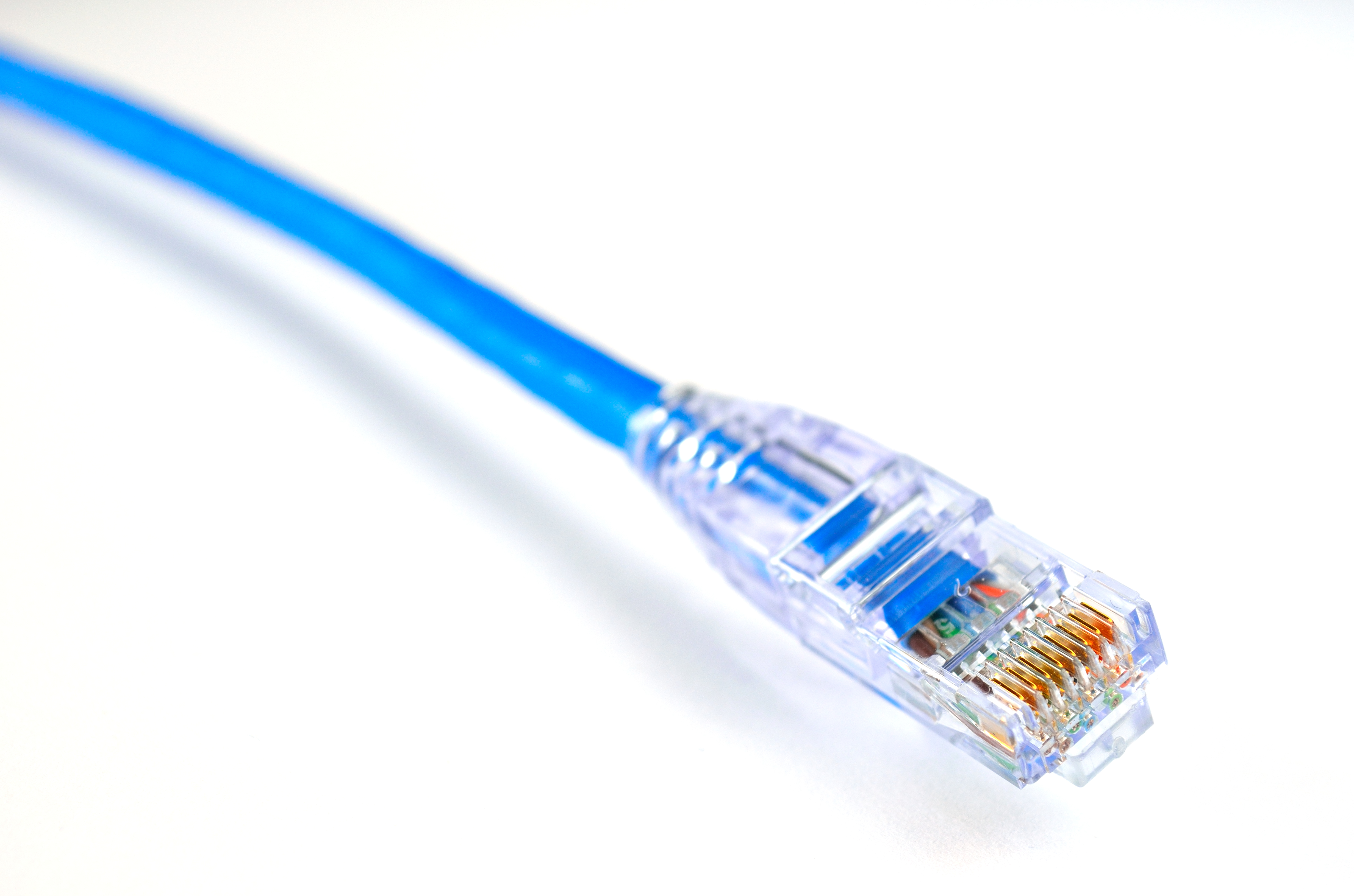 Close-up photograph of a blue Ethernet cable used for networking practice